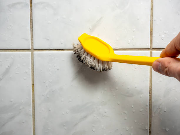 Best Mold Inspection  in Taunton, MA